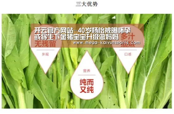 开云官方网站-40岁杨怡被曝怀孕 或将生下金猪宝宝升级做妈妈