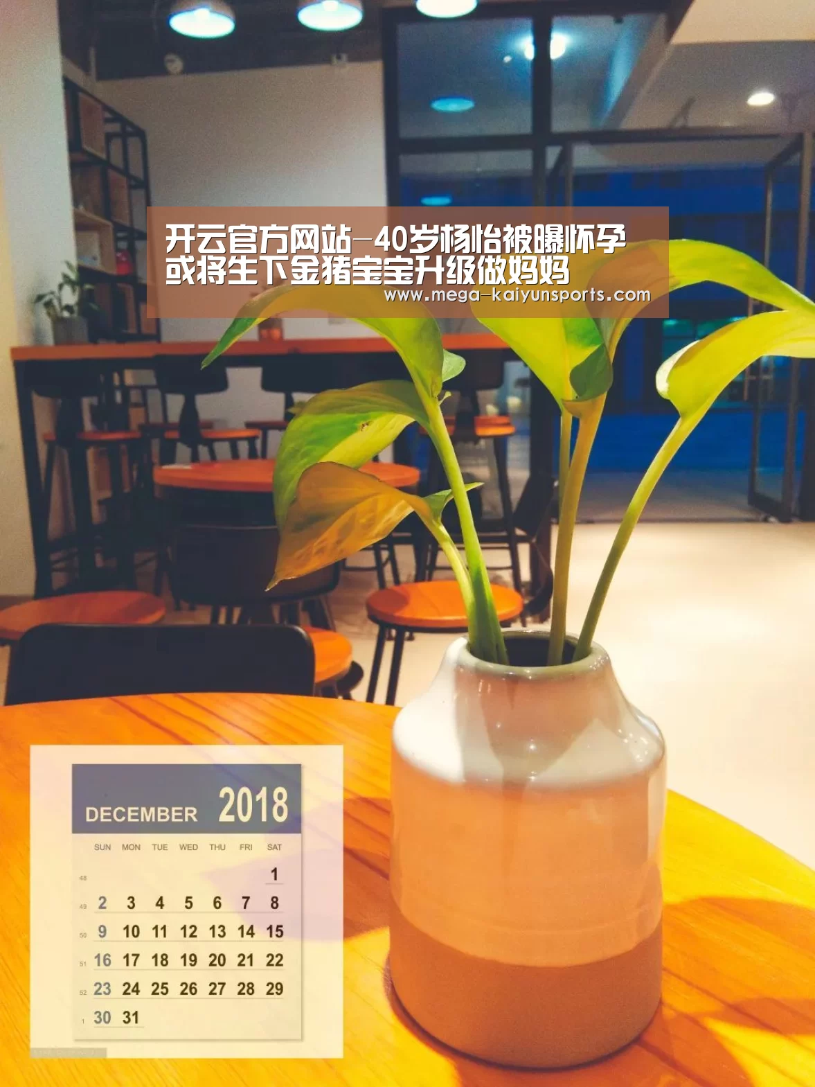 开云官方网站-40岁杨怡被曝怀孕 或将生下金猪宝宝升级做妈妈(图3) 开云体育官方入口