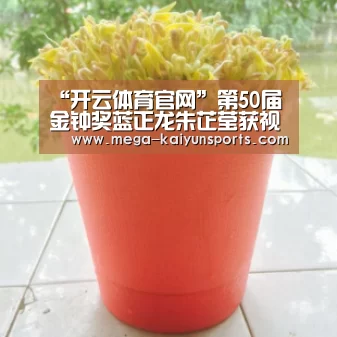 “开云体育官网”第50届金钟奖蓝正龙朱芷莹获视帝视后