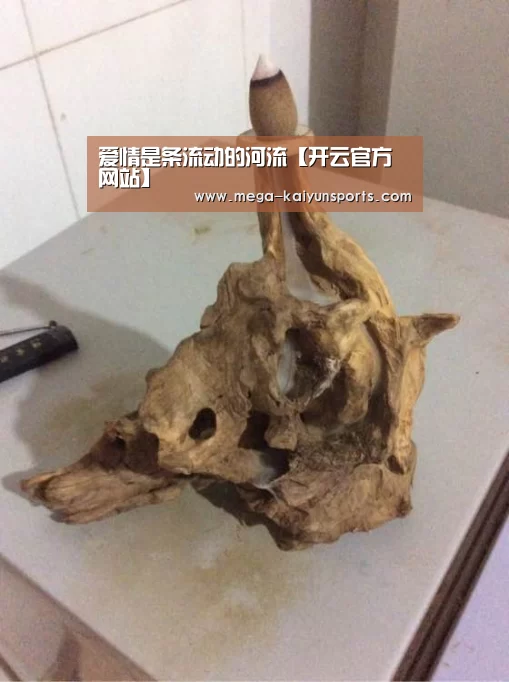 爱情是条流动的河流【开云官方网站】(图3) 开云体育官网