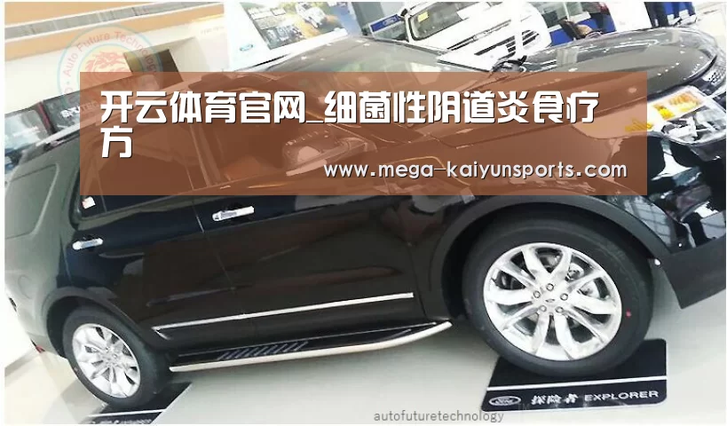 开云官方网站
