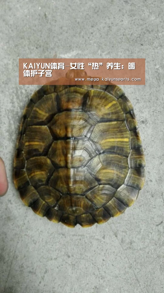 开云官方网站